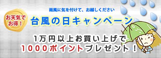 台風キャンペーン